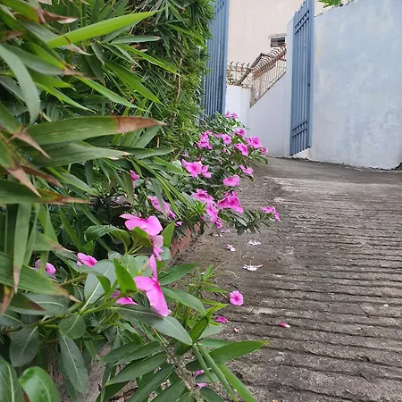 Nha Xanh Ha Long Homestay Exterior photo